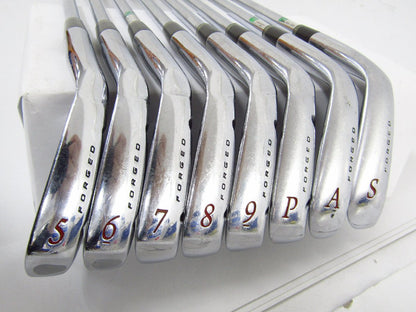 Srixon Z725 Irons 5-9 (8pc) — Dynamic Gold S200 S — Japan Model, Used
