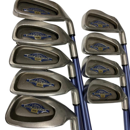 Callaway Big Bertha Irons (9pc) — Flex R — Japan Model, Used