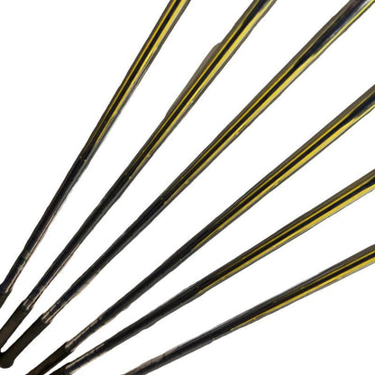 Mizuno JPX 825 Forged Irons (6pc) — NS PRO 950GH S — Japan Model, Used