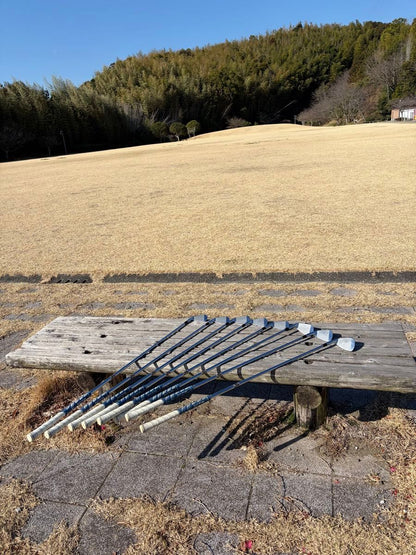 Mizuno MP-60 Irons 3-PW (8pc) — Dynamic Gold S200 S — Japan Model, Used